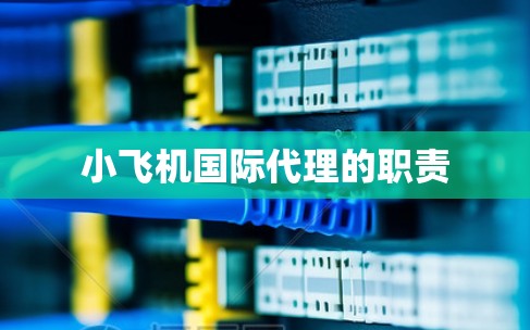 小飞机国际代理的职责