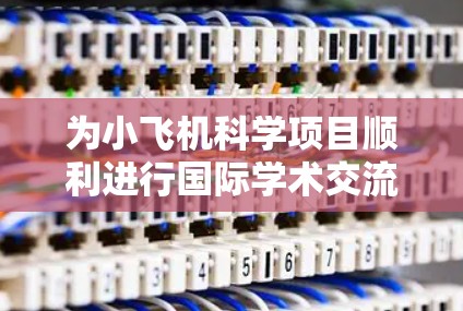 为小飞机科学项目顺利进行国际学术交流和资源访问，以下是一些建议和解决方案