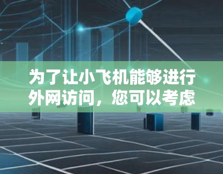 为了让小飞机能够进行外网访问，您可以考虑以下几种方法和工具