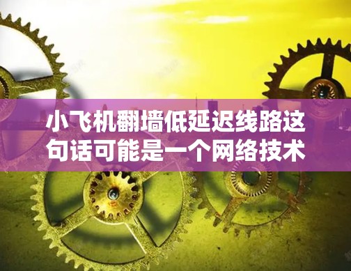 小飞机翻墙低延迟线路这句话可能是一个网络技术或设备的描述，具体含义需要结合上下文来理解。以下是一些可能的解释和步骤