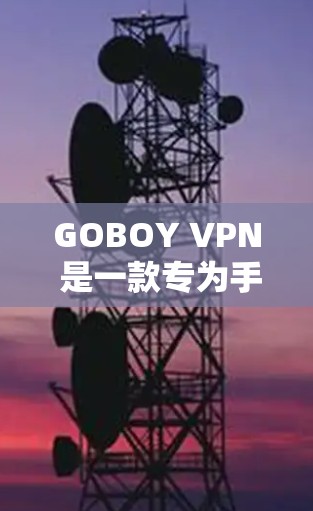 GOBOY VPN 是一款专为手机用户设计的 VPN 应用，旨在帮助用户访问 restricted 的内容、保护隐私以及连接到多国 IP。以下是关于 GOBOY VPN 的详细介绍