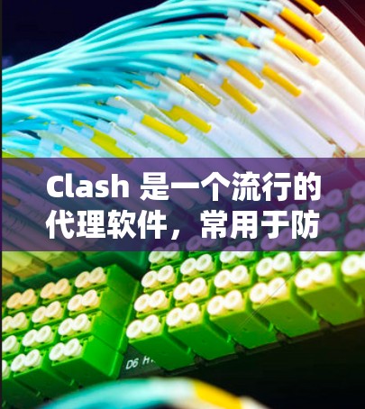 Clash 是一个流行的代理软件，常用于防火墙、网络访问控制、DNS 隐私保护等场景。以下是 Clash 代理设置的详细指南