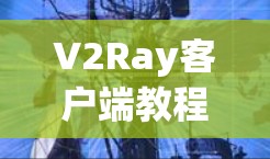 V2Ray客户端教程,配置与使用指南 V2Ray客户端教程,配置与使用指南