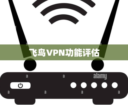 飞鸟VPN功能评估