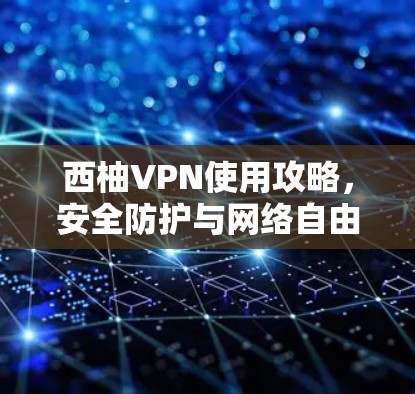 西柚VPN使用攻略，安全防护与网络自由的双重保障