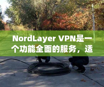 NordLayer VPN是一个功能全面的服务，适合需要多设备、多服务器连接且注重安全和隐私的用户。以下是对NordLayer VPN的详细评测
