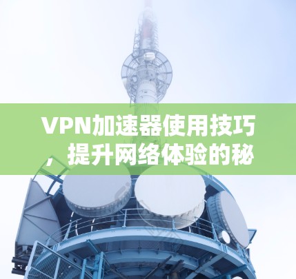 VPN加速器使用技巧，提升网络体验的秘密武器