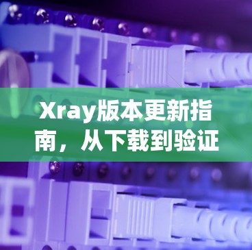Xray版本更新指南，从下载到验证的完整步骤