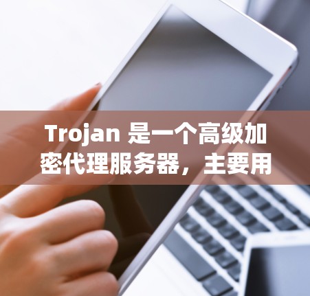 Trojan 是一个高级加密代理服务器，主要用于保护用户隐私和安全。以下是设置 Trojan 代理服务器的基本步骤