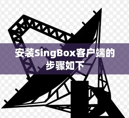 安装SingBox客户端的步骤如下