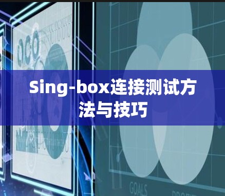Sing-box连接测试方法与技巧