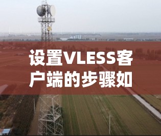 设置VLESS客户端的步骤如下