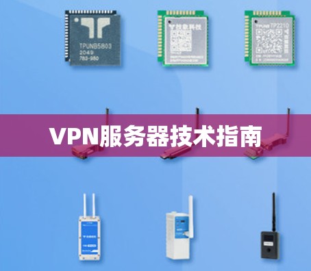 VPN服务器技术指南 VPN服务器技术指南
