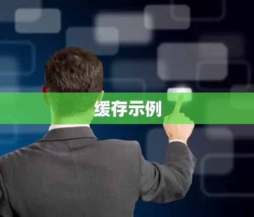 缓存示例