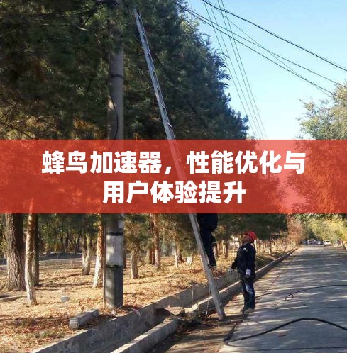 蜂鸟加速器，性能优化与用户体验提升