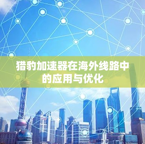 猎豹加速器在海外线路中的应用与优化