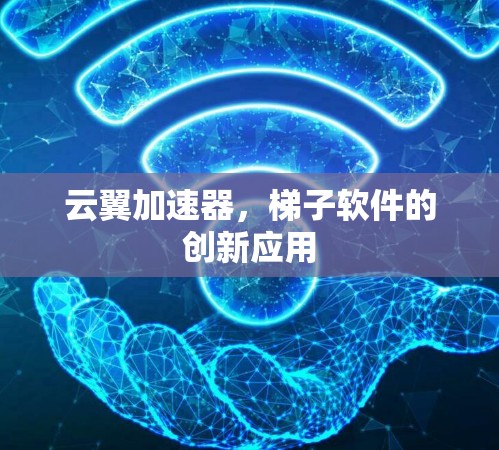 云翼加速器，梯子软件的创新应用