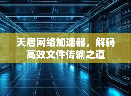 天启网络加速器，解码高效文件传输之道