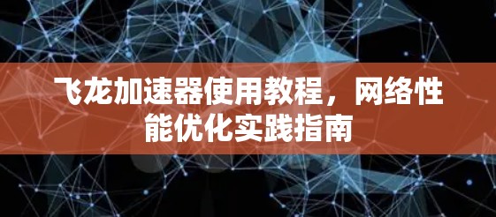飞龙加速器使用教程，网络性能优化实践指南