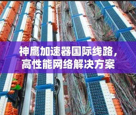 神鹰加速器国际线路，高性能网络解决方案