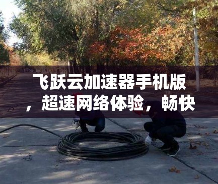飞跃云加速器手机版,超速网络体验,畅快浏览 飞跃云加速器手机版,超速网络体验,畅快浏览