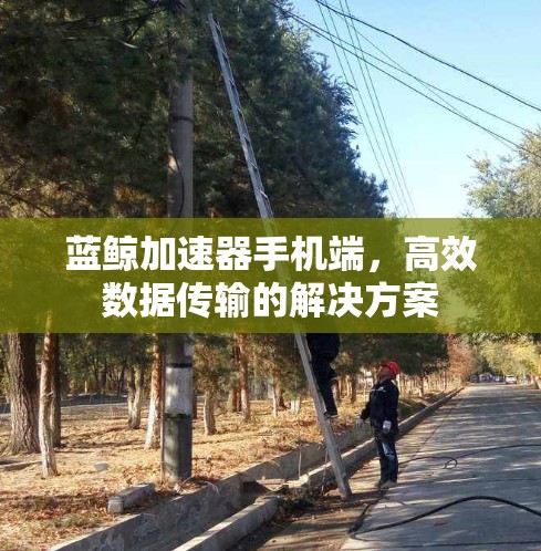 蓝鲸加速器手机端，高效数据传输的解决方案