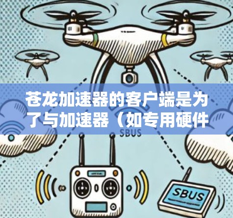 苍龙加速器的客户端是为了与加速器（如专用硬件加速器）交互，提供管理、配置和监控功能的软件。以下是逐步解决方案