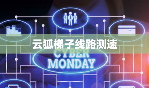 云狐梯子线路测速