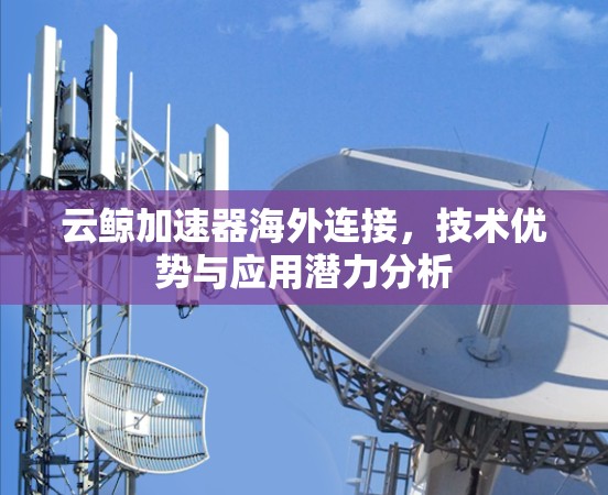 云鲸加速器海外连接，技术优势与应用潜力分析