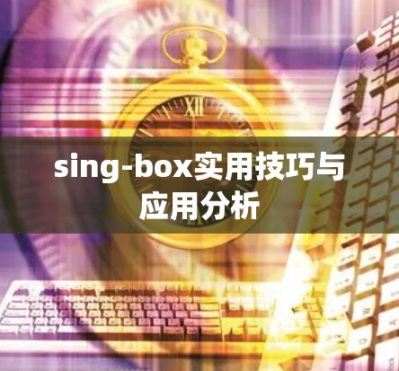 sing-box实用技巧与应用分析