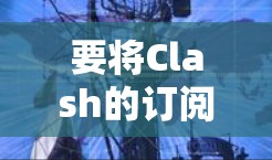 要将Clash的订阅转换到其他工具（如比特币钱包）可以按照以下步骤进行