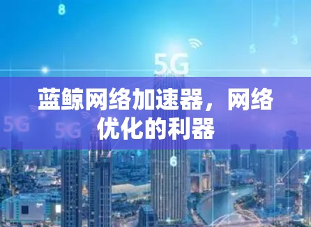 蓝鲸网络加速器，网络优化的利器
