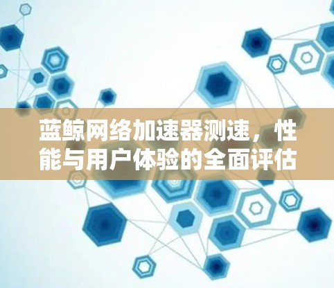 蓝鲸网络加速器测速，性能与用户体验的全面评估
