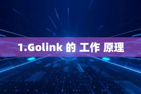 1.Golink 的 工作 原理