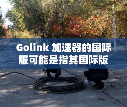 Golink 加速器的国际服可能是指其国际版本或国际服务器。如果你需要使用 Golink 的国际版本或国际服务器，通常可以通过官方网站或相关应用商店找到下载或安装方式