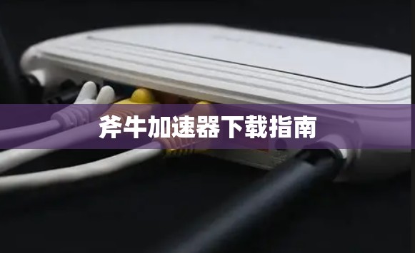 斧牛加速器下载指南