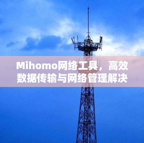 Mihomo网络工具，高效数据传输与网络管理解决方案