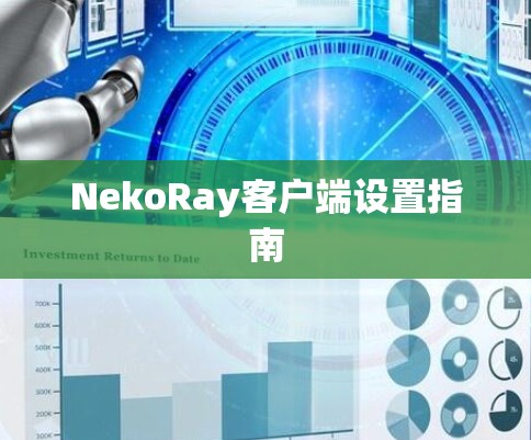 NekoRay客户端设置指南
