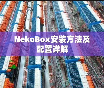 NekoBox安装方法及配置详解