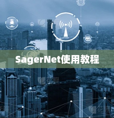 SagerNet使用教程