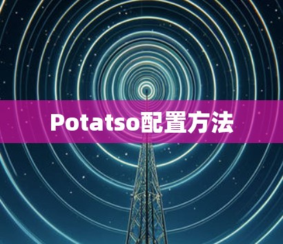 Potatso配置方法