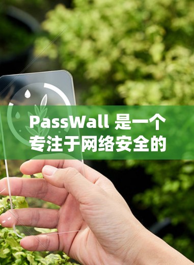 PassWall 是一个专注于网络安全的应用程序，旨在保护用户的账号、密码和其他敏感信息。以下是 PassWall 安装指南，涵盖了在不同操作系统上的安装步骤