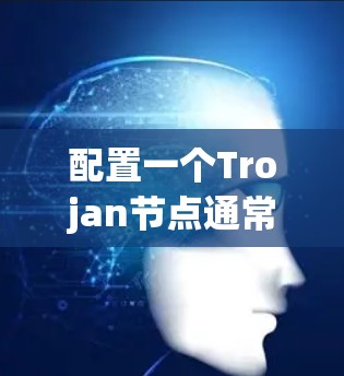 配置一个Trojan节点通常需要遵循以下步骤，确保安全性和可靠性。以下是一个详细的步骤指南