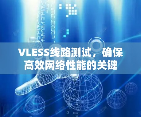 VLESS线路测试，确保高效网络性能的关键