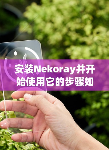 安装Nekoray并开始使用它的步骤如下