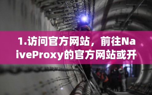 1.访问官方网站，前往NaiveProxy的官方网站或开发者页面，查看是否有最新版本的下载链接