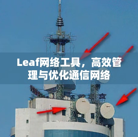 Leaf网络工具，高效管理与优化通信网络