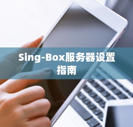 Sing-Box服务器设置指南