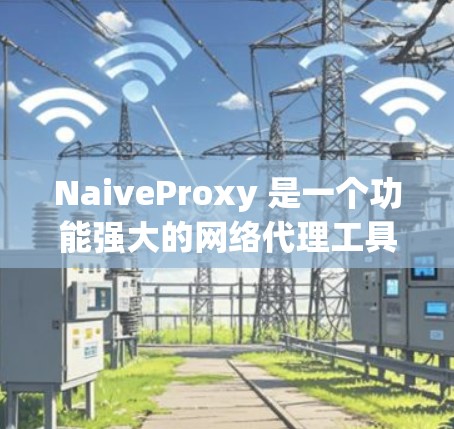 NaiveProxy 是一个功能强大的网络代理工具，支持多种协议和应用场景。以下是一些常见的使用教程和配置方法，帮助你更好地理解和使用 NaiveProxy 客户端