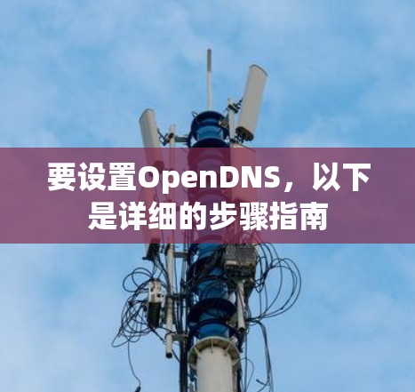 要设置OpenDNS，以下是详细的步骤指南